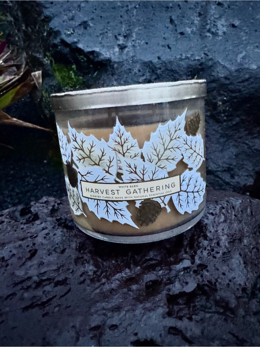 Bath & Body Works White Barn Harvest Gathering 3-Wick Candle 14.5 oz